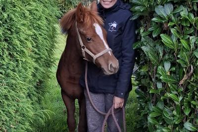 POMME D’AMOUR LANDAIS