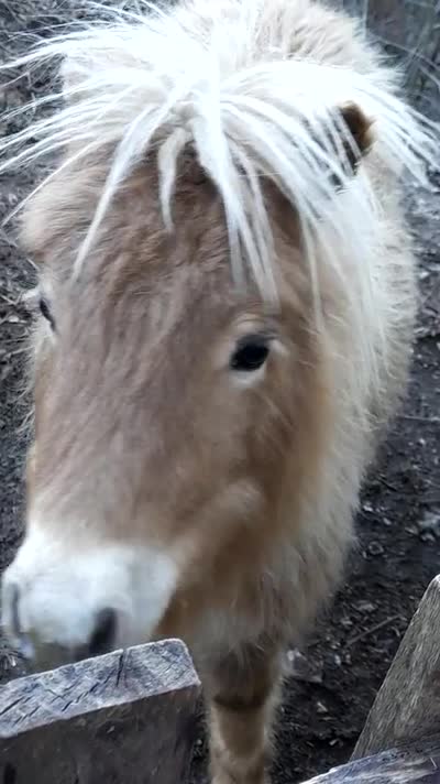 PAMPELUNE VAL D EMERAUDE