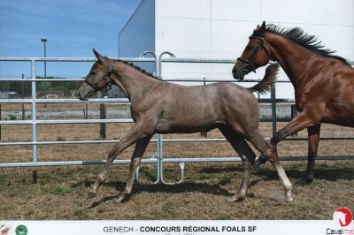 concours r&eacute;gional