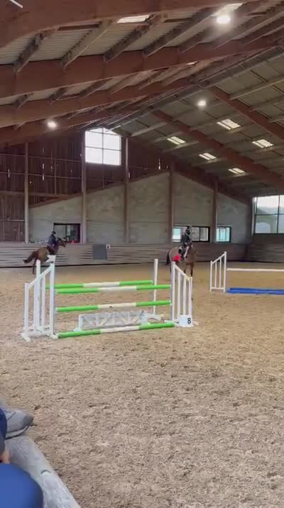 KALISTA DOMERGUIE AA