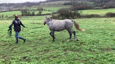 ORS-SERIE D&#039;HOPS