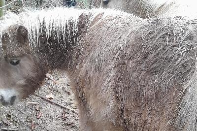 PAMPELUNE VAL D EMERAUDE