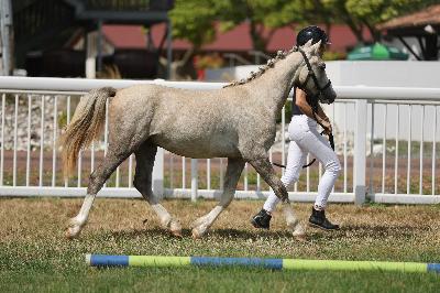 OR&#039;LANDO D&#039;EYMAS