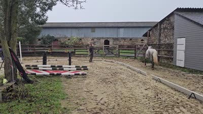 PLATINUM DE CHATELAIN