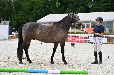 Modele concours FPPL juin 26