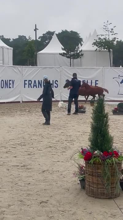 POMME D’AMOUR LANDAIS