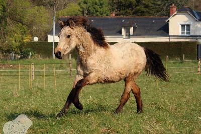 Demi fr&egrave;re par le m&ecirc;me p&egrave;re n&eacute; en Avril 2025