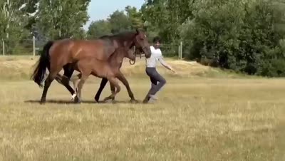 POURLAVIE D&#039;ORFEVRE