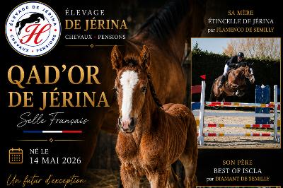 QAD'OR DE J&eacute;RINA