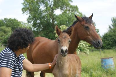 PASSE PARTOUT DE LEMA