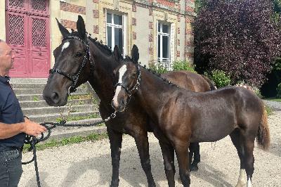 Cam&eacute;ra du Dalot