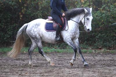 EVASION FOLAINE