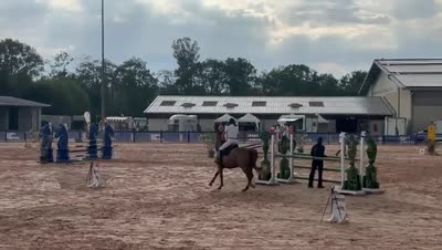 GUINESSE GRISABELLES