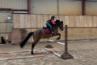 INVICTUS DE MILINAVEL