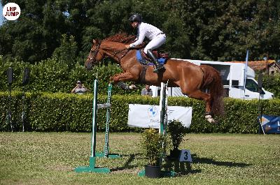 Haye pesnel GP135 n3