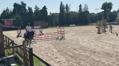 IRIS DE VESQUERIE