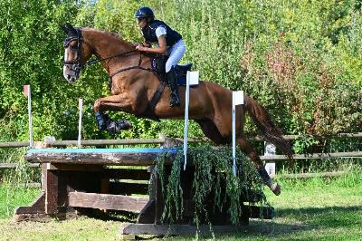 I AM DES PLANCHETTES