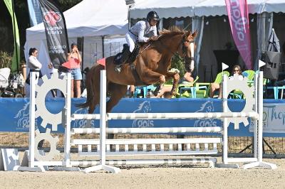 I AM DES PLANCHETTES