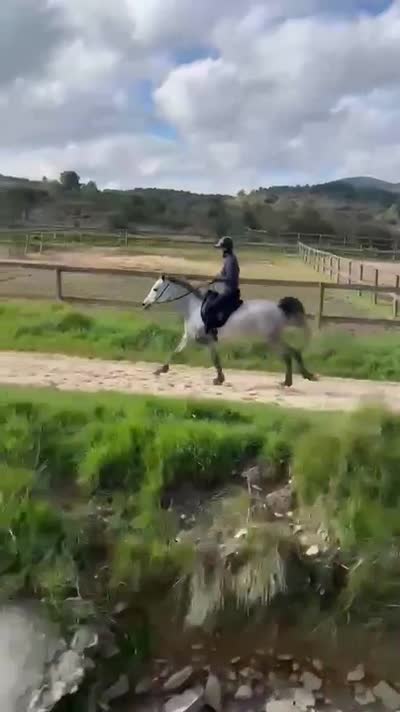 JAZIRA DE LA FICHADE