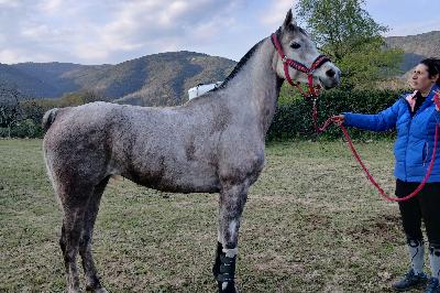 JAWNA QATAR la loze, mars 2026