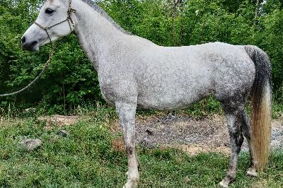 JAWNA QATAR la loze, avril 2026