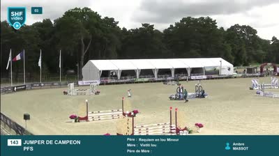 JUMPER DE CAMPEON