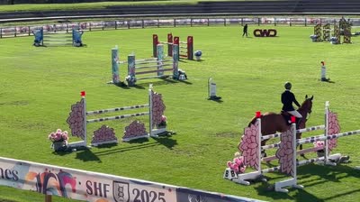 JUST A QUEEN D&#039;OHL