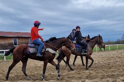 Jipi entrainement le matin