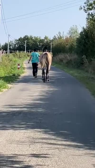 JEKSIMA MILINRIANT
