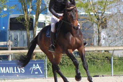 JET&#039;STAR DE DIENAY