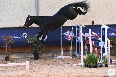 JET&#039;STAR DE DIENAY