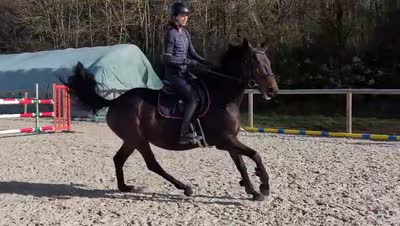 JOINTVENTURE DES AURS