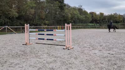 JOINTVENTURE DES AURS