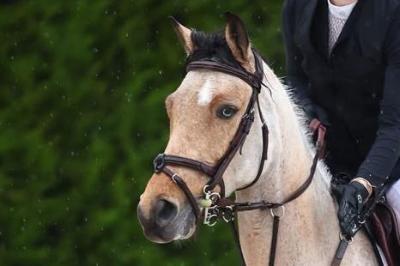 JOYEUSES PAQUES D'AY