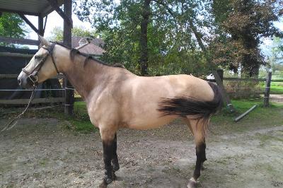 J&#039;ADORE DE JAURAND