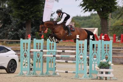 JAVA&#039;S QUEEN NUMENOR