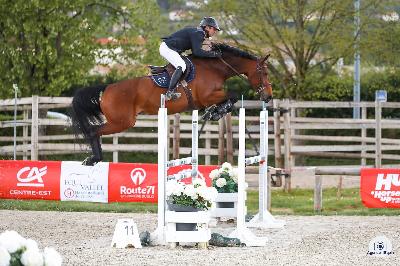 JAVA&#039;S QUEEN NUMENOR