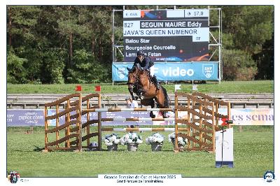 JAVA&#039;S QUEEN NUMENOR