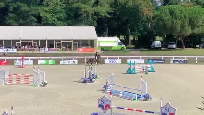 JADE DES MAUVIS