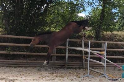 Jamie &agrave; 3 ans