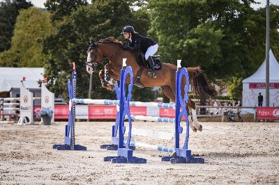 Jerico des For&ecirc;ts - Jumping