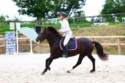 Juillet 2025 - St-Lô