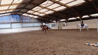 KRISTAL DU HEUVELLAND