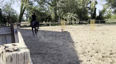 KAJMAN DU TER