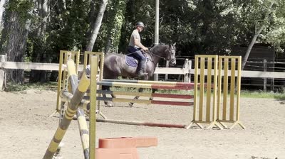 KAJMAN DU TER
