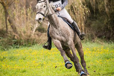 KHLOE DE GOUTTE NOIRE