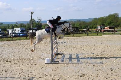 KALYPSO DES LITTES