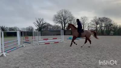 KRISHNA DES BLEMONTS