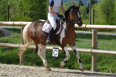 KELLYBEL DES OIREES