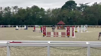 Finale REGIONALE cL 3 - 6 ans - le Lion d&rsquo;angers